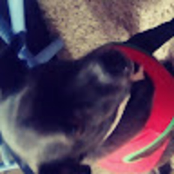 Meet your Posher, Dylan - Picture 1 of 1